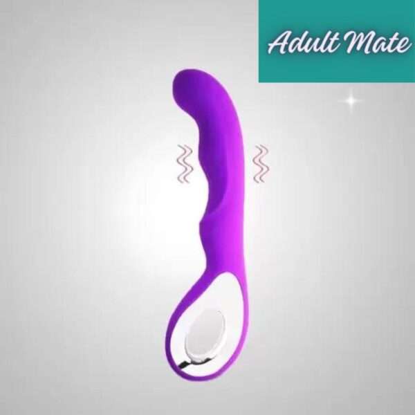 10 MULTI-SPEED G-SPOT WATERPROOF SILICONE RECHARGEABLE VIBRATOR